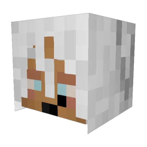 jhigi Minecraft avatar head, 3D render