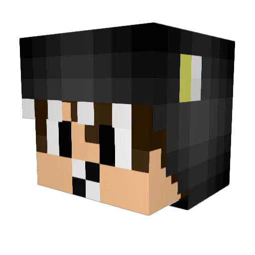jhiho9 Minecraft avatar head, 3D render