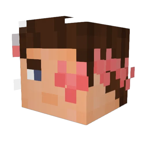 jhj0330 Minecraft avatar head, 3D render