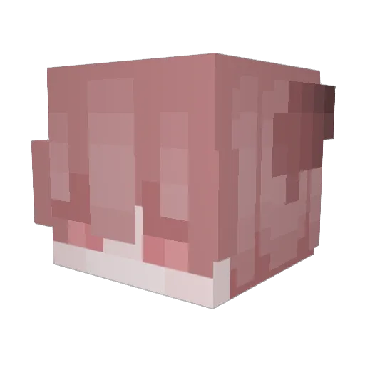 jhorse2007 Minecraft avatar head, 3D render