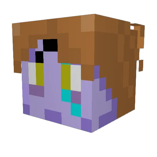 jhota501 Minecraft avatar head, 3D render