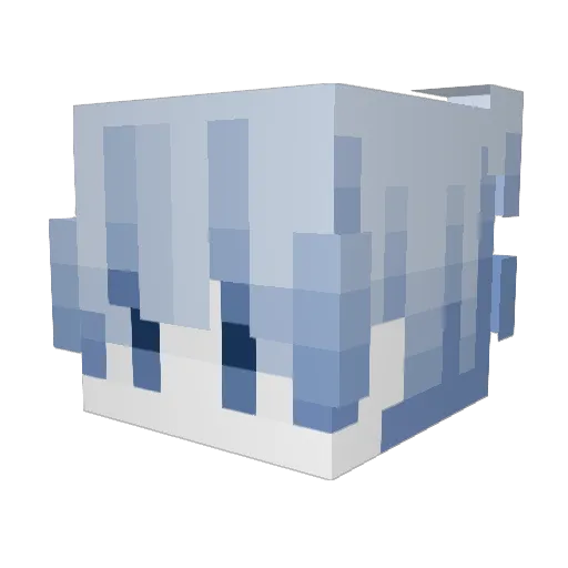 jhsong762 Minecraft avatar head, 3D render