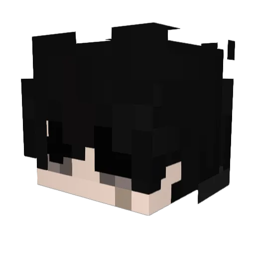 jhwasin Minecraft avatar head, 3D render