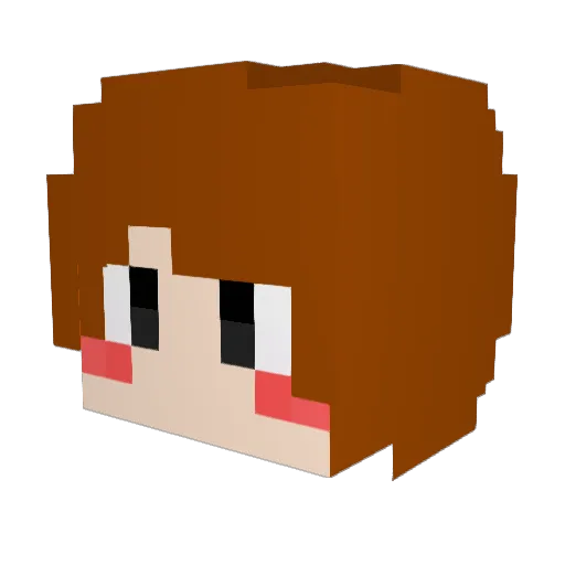jhyy830 Minecraft avatar head, 3D render