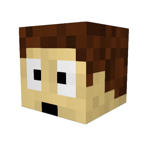ji91 Minecraft avatar head, 3D render