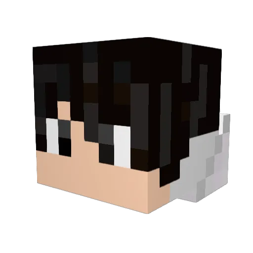 ji_s_07 Minecraft avatar head, 3D render