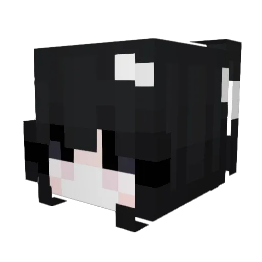 jiamg18 Minecraft avatar head, 3D render