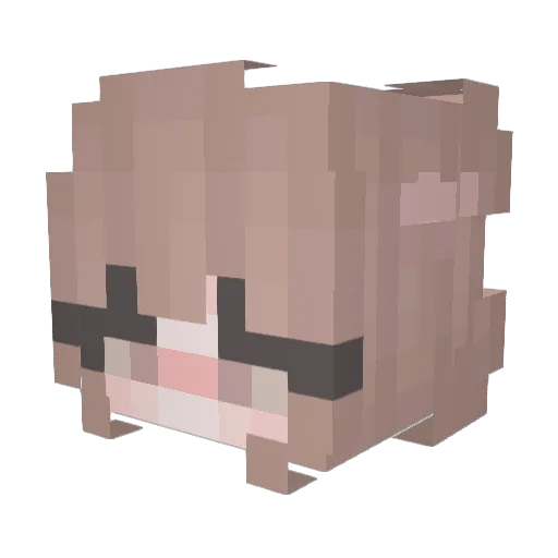 jian0306 Minecraft avatar head, 3D render