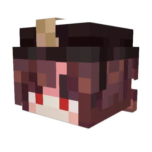 jian_jian_ Minecraft avatar head, 3D render