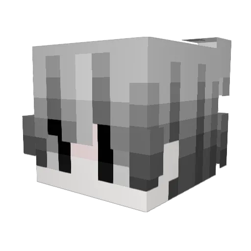 jiangchi1512 Minecraft avatar head, 3D render