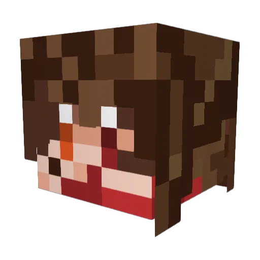 jiangxinxin Minecraft avatar head, 3D render