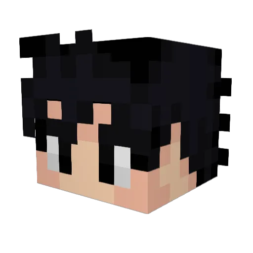 jiaod Minecraft avatar head, 3D render