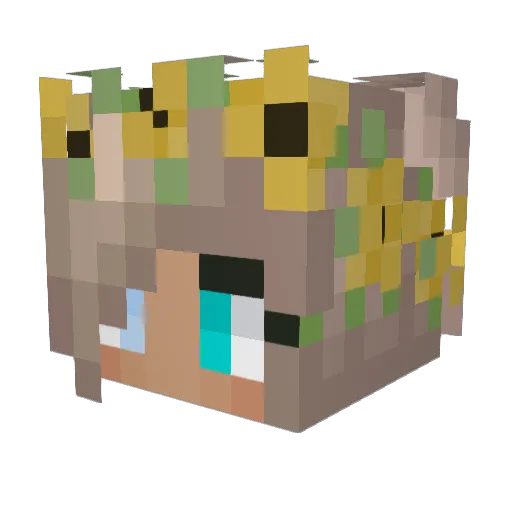 jidderbug13 Minecraft avatar head, 3D render