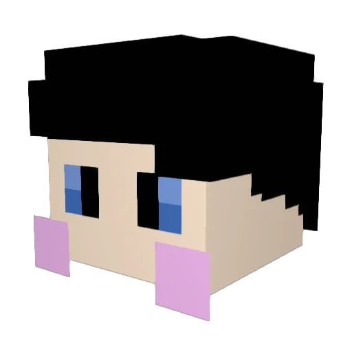 jigel8984 Minecraft avatar head, 3D render