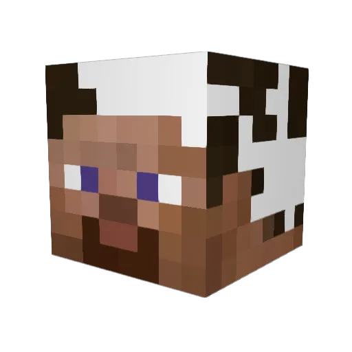 jigglemeister Minecraft avatar head, 3D render