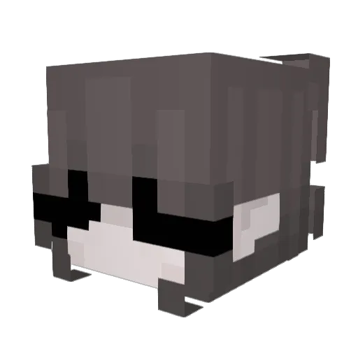 jiggy5891 Minecraft avatar head, 3D render