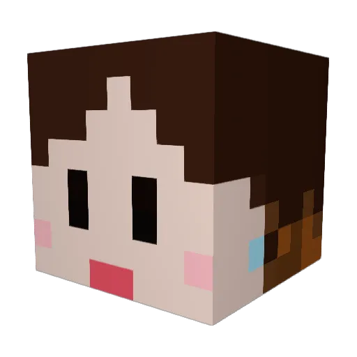 jiho0o0 Minecraft avatar head, 3D render
