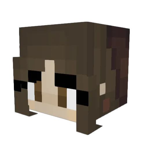 jiic Minecraft avatar head, 3D render