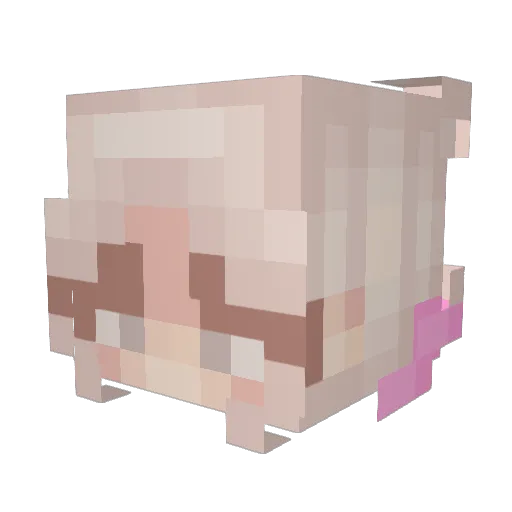 jiinsouls Minecraft avatar head, 3D render