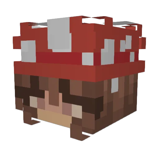 jillswede Minecraft avatar head, 3D render