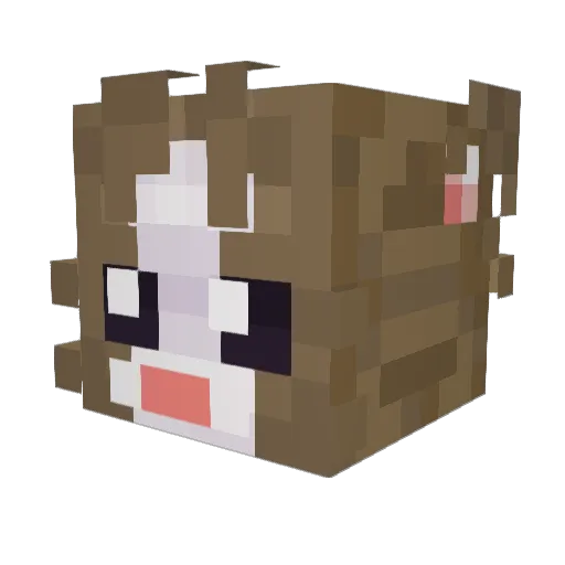 jim07288 Minecraft avatar head, 3D render