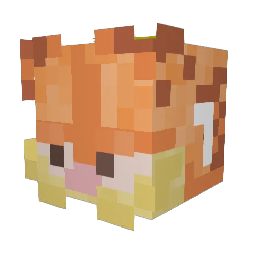 jim31195 Minecraft avatar head, 3D render