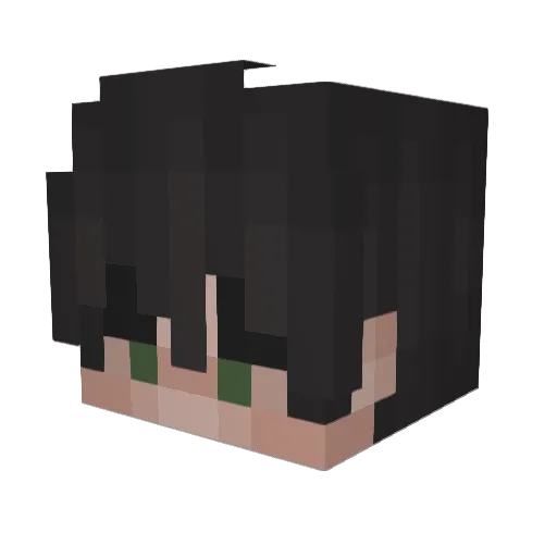 jim3335 Minecraft avatar head, 3D render
