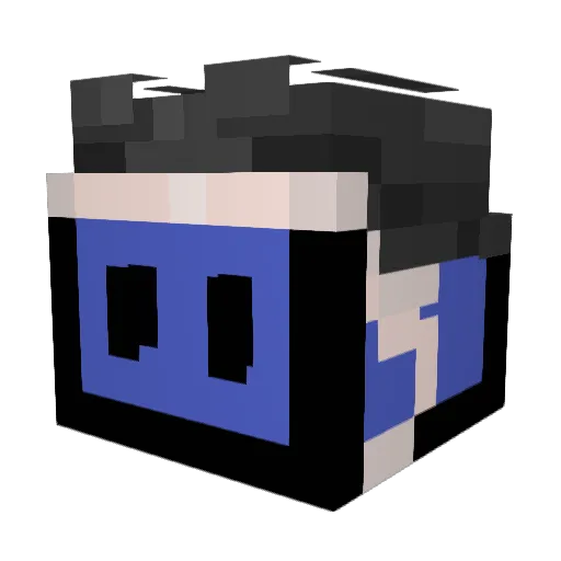 jim9996 Minecraft avatar head, 3D render