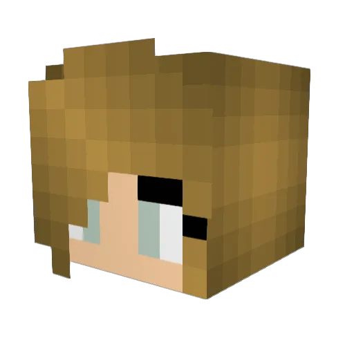 jimandbob1 Minecraft avatar head, 3D render