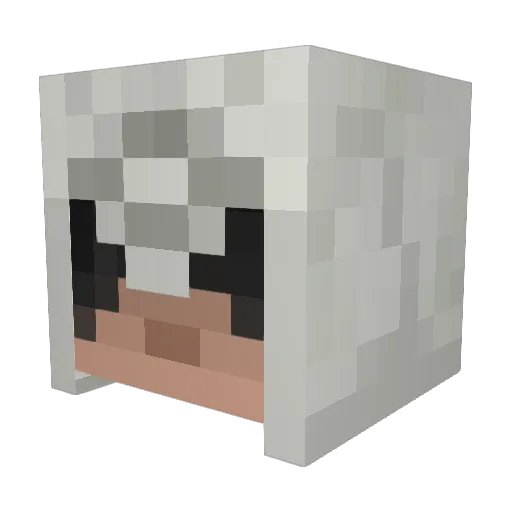 jimanmelilla Minecraft avatar head, 3D render