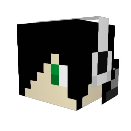jimbo712 Minecraft avatar head, 3D render
