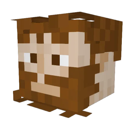jimititch Minecraft avatar head, 3D render