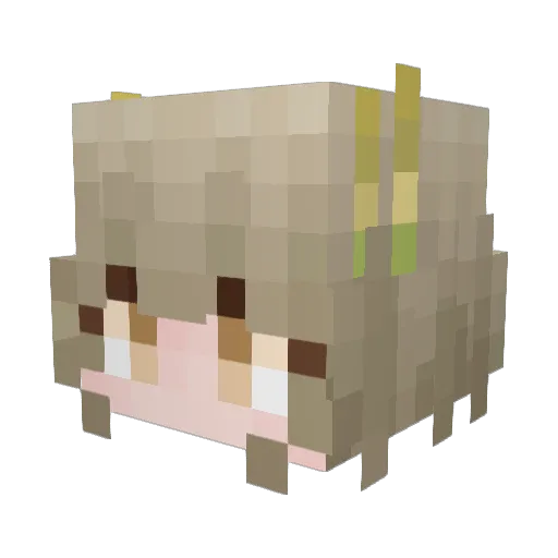 jimjoe Minecraft avatar head, 3D render