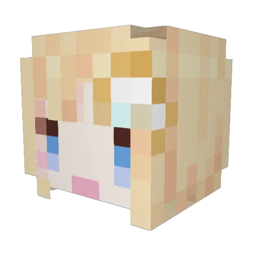 jimmsonruns Minecraft avatar head, 3D render