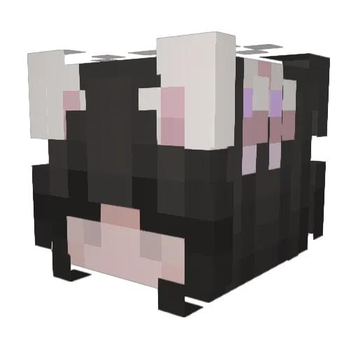 jimmy6d9 Minecraft avatar head, 3D render