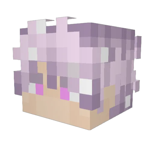 jimmyjohn928 Minecraft avatar head, 3D render