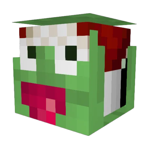 jimmyyy4 Minecraft avatar head, 3D render