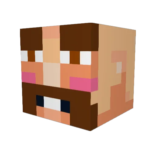 jimney55 Minecraft avatar head, 3D render