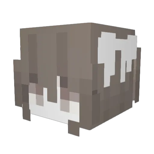 jin081014 Minecraft avatar head, 3D render