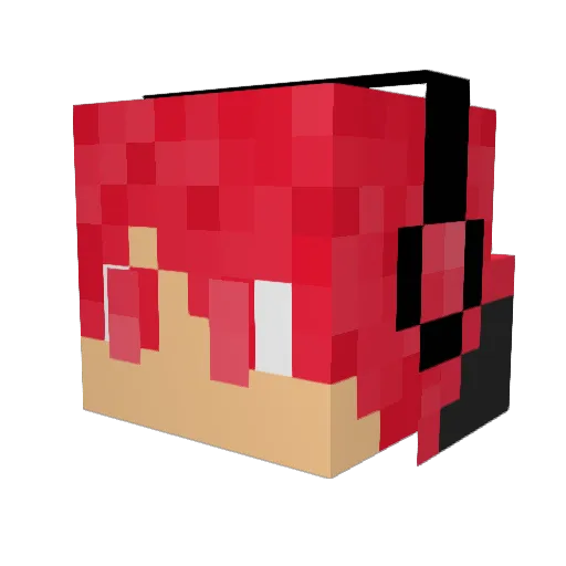 jin0825 Minecraft avatar head, 3D render