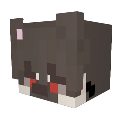 jin_tomboy Minecraft avatar head, 3D render