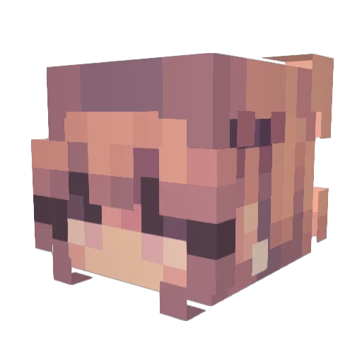 jina69 Minecraft avatar head, 3D render