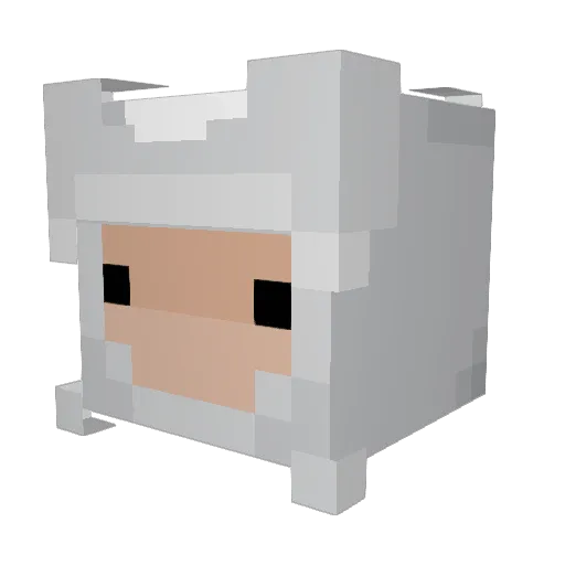 jinbarley Minecraft avatar head, 3D render