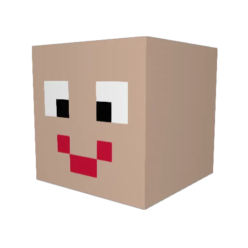 jindra5 Minecraft avatar head, 3D render