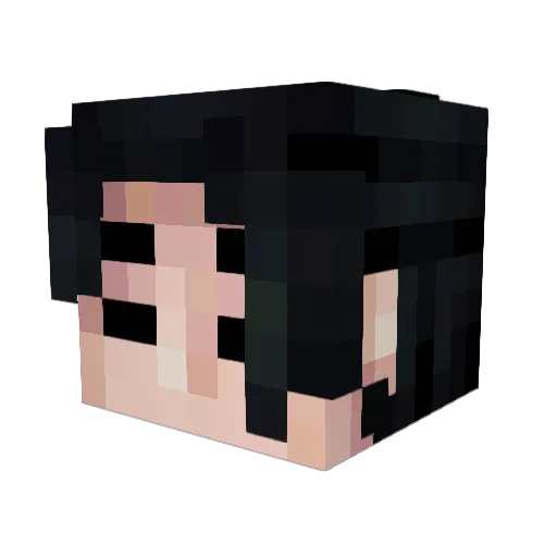 jineri Minecraft avatar head, 3D render