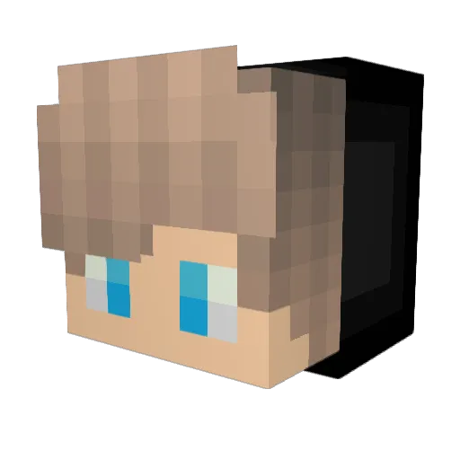 jingham0913 Minecraft avatar head, 3D render