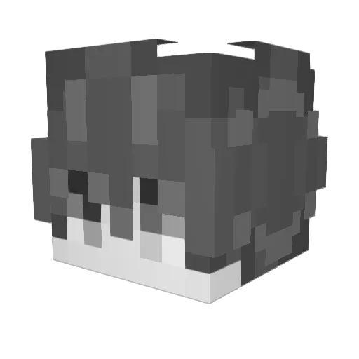 jini07 Minecraft avatar head, 3D render