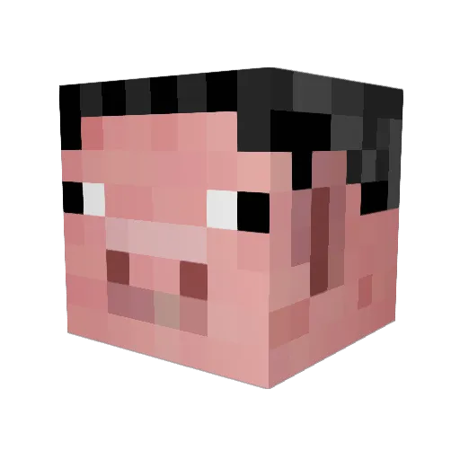jinjiongen Minecraft avatar head, 3D render