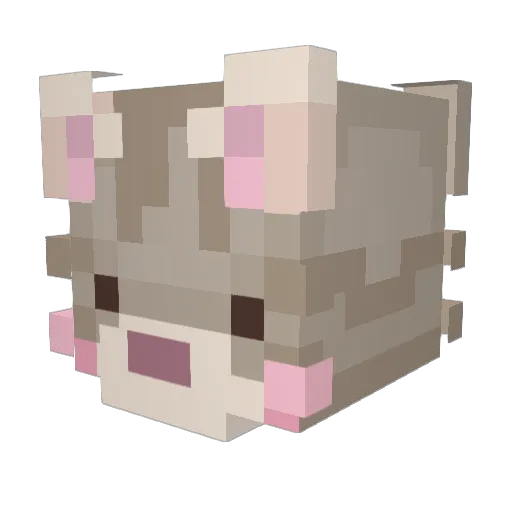 jinnniiii Minecraft avatar head, 3D render