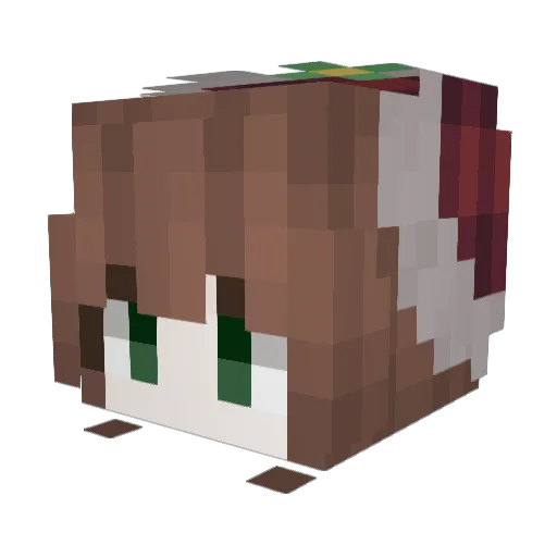 jinny494 Minecraft avatar head, 3D render